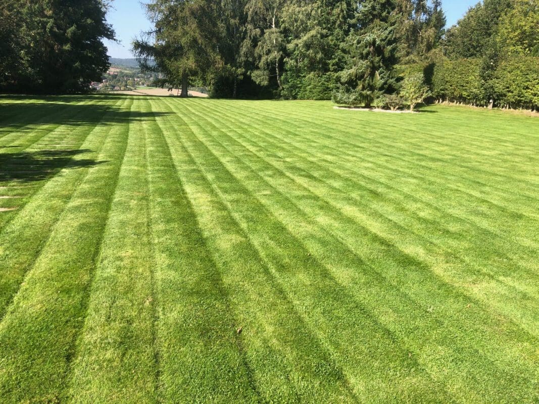 Grounds maintenance