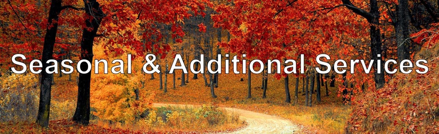 Seasonal & Additional Services