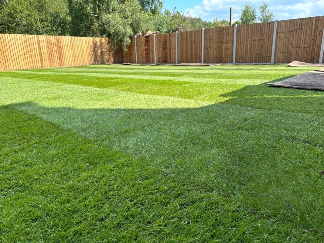 Completed New Lawn & Fence