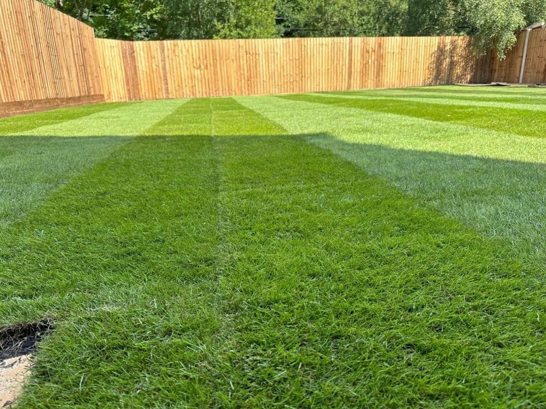 Newly Laid Lawn & Fence