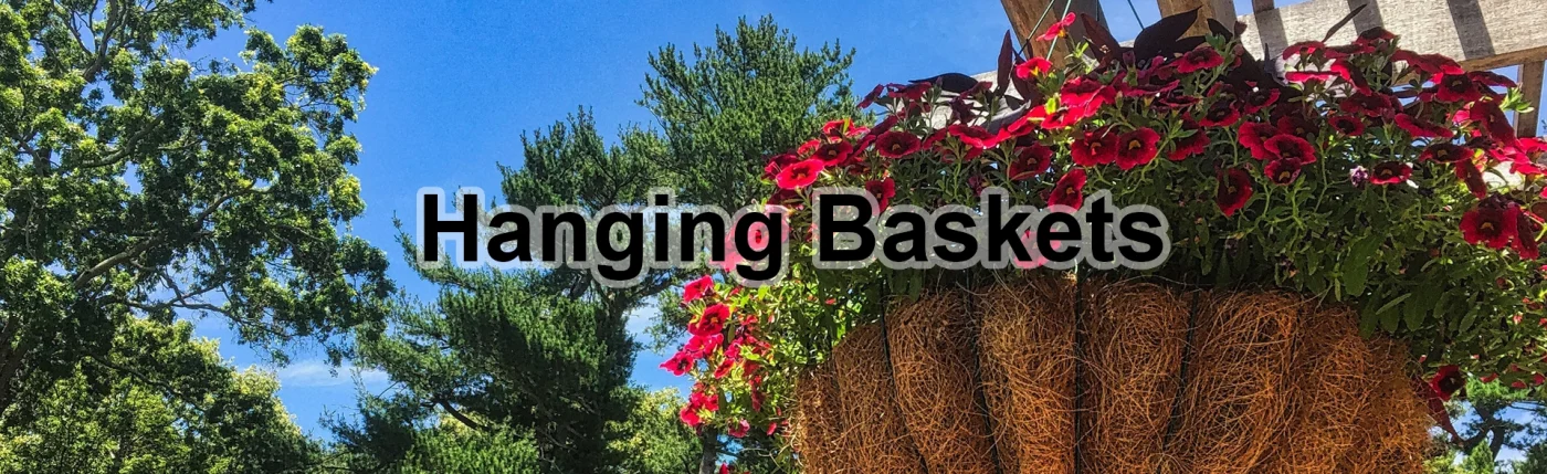 Hanging Baskets
