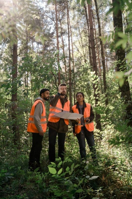 Professional Tree Surveys